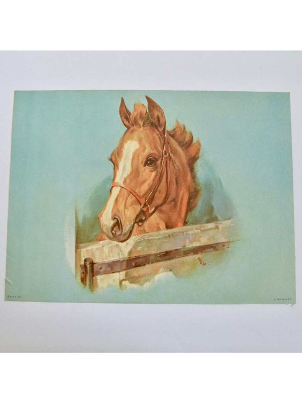 Donald Art Company Litho Print Horse 12 x 9"
